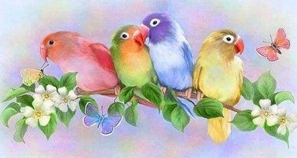 Diamond Painting - Piccoli Parrocchetti