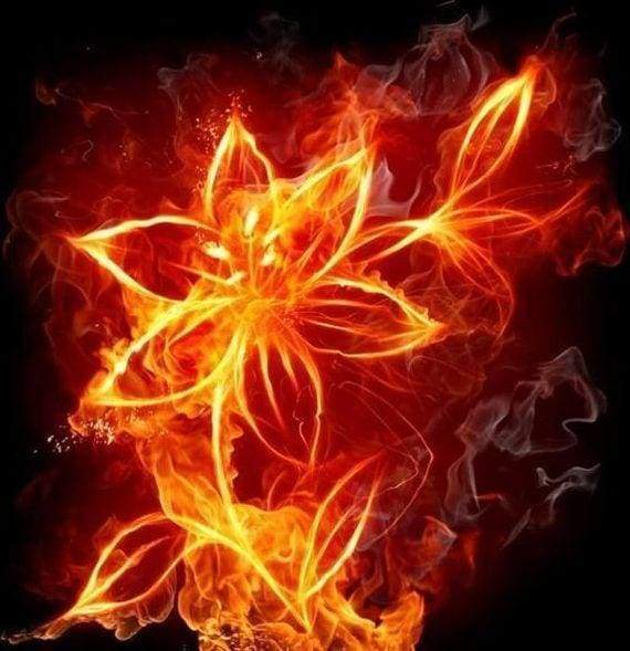 Diamond Painting - Fiore Di Fumo