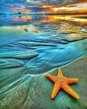Carica l&#39;immagine nel visualizzatore di Gallery, Diamond Painting - Stella Marina