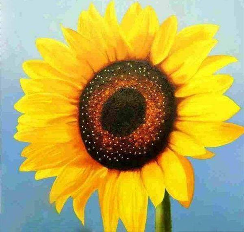 Diamond Painting - Girasole