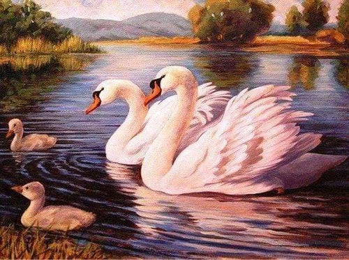 Diamond Painting - Cigni