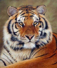 Carica l&#39;immagine nel visualizzatore di Gallery, Diamond Painting - Occhio Di Tigre