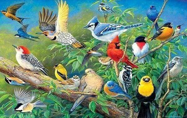 Diamond Painting - Uccelli Tropicali