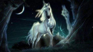 Diamond Painting - Unicorno Nell'Oscurità