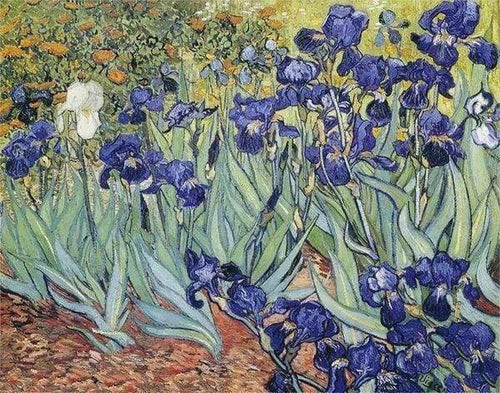 Diamond Painting - Van Gogh Fiori