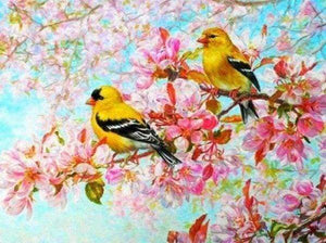 Diamond Painting - Uccelli Gialli