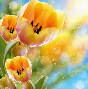 Diamond Painting - Tulipani Gialli