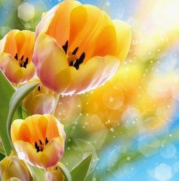 Diamond Painting - Tulipani Gialli