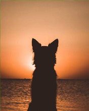 Carica l&#39;immagine nel visualizzatore di Gallery, Dipingere con i numeri - Cane E Tramonto