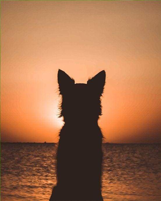 Dipingere con i numeri - Cane E Tramonto