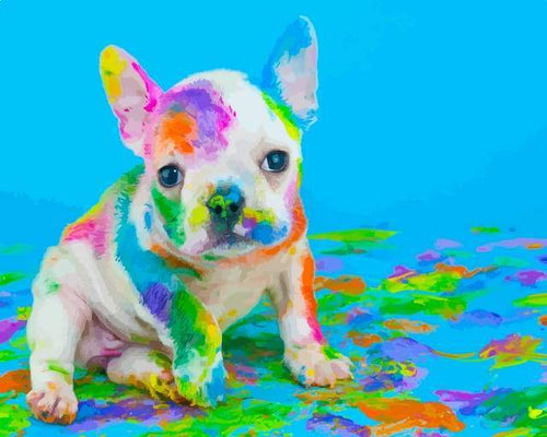 Dipingere con i numeri - Dipinto Del Cane