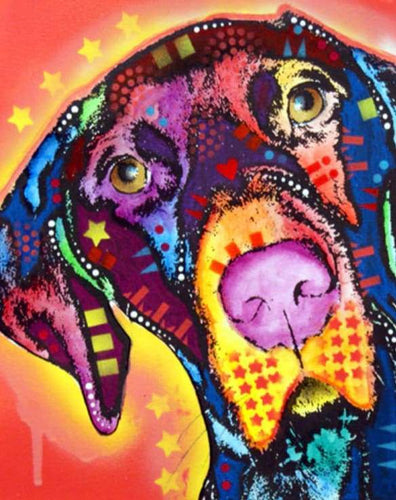Dipingere con i numeri - Cane Con Stelle