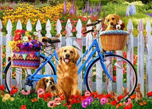 Carica l&#39;immagine nel visualizzatore di Gallery, Dipingere con i numeri - Cani E Biciclette