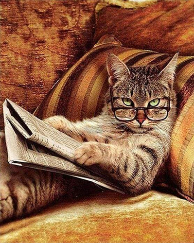 Dipingere con i numeri - Non Scherzare Con Questo Gatto