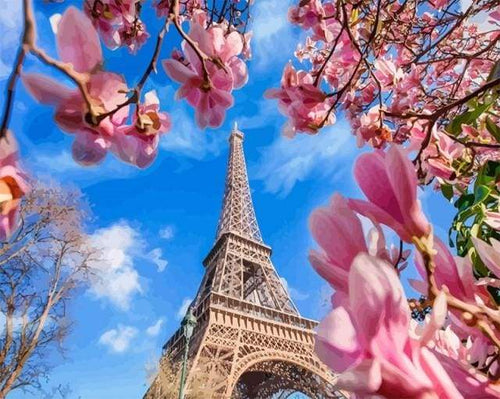 Dipingere con i numeri - Torre Eiffel Con Fiori