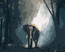 Carica l&#39;immagine nel visualizzatore di Gallery, Dipingere con i numeri - Elefante Nella Foresta Oscura