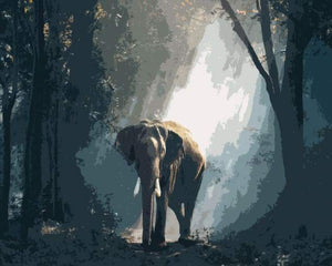 Dipingere con i numeri - Elefante Nella Foresta Oscura
