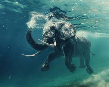 Carica l&#39;immagine nel visualizzatore di Gallery, Dipingere con i numeri - Elefante Che Nuota
