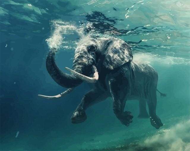 Dipingere con i numeri - Elefante Che Nuota