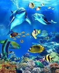 Dipingere con i numeri - Pesci E Delfini