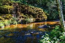 Carica l&#39;immagine nel visualizzatore di Gallery, Dipingere con i numeri - Fiume Di Pesca