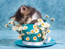 Carica l&#39;immagine nel visualizzatore di Gallery, Dipingere con i numeri - Vaso Di Fiori Con Gatto