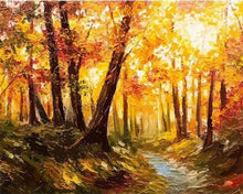 Carica l&#39;immagine nel visualizzatore di Gallery, Dipingere con i numeri - Foresta E Luce Del Sole