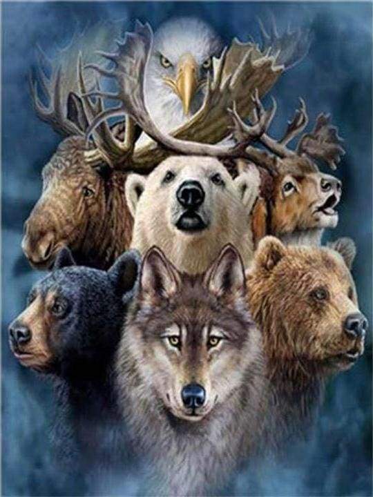Dipingere con i numeri - Animali Della Foresta