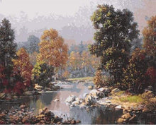 Carica l&#39;immagine nel visualizzatore di Gallery, Dipingere con i numeri - Paesaggio Forestale
