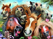 Carica l&#39;immagine nel visualizzatore di Gallery, Dipingere con i numeri - Cavalli Divertenti