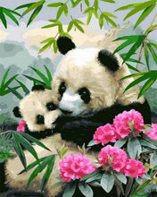 Carica l&#39;immagine nel visualizzatore di Gallery, Dipingere con i numeri - Panda Giganti