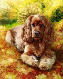 Dipingere con i numeri - Il Golden Retriever