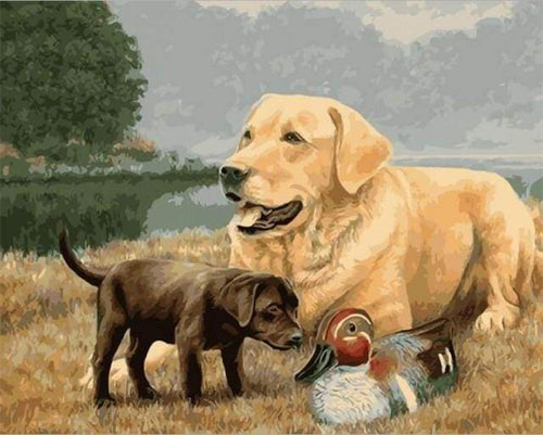 Dipingere con i numeri - Golden Retriever