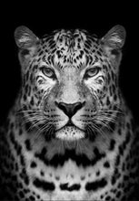 Carica l&#39;immagine nel visualizzatore di Gallery, Dipingere con i numeri - Leopardo Grigio