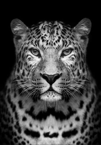 Dipingere con i numeri - Leopardo Grigio