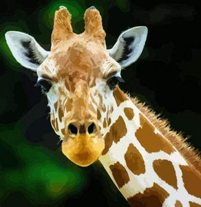 Dipingere con i numeri - Testa E Collo Di Giraffa