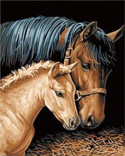 Carica l&#39;immagine nel visualizzatore di Gallery, Dipingere con i numeri - Cavallo E Puledro