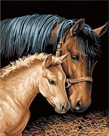 Dipingere con i numeri - Cavallo E Puledro