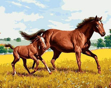 Carica l&#39;immagine nel visualizzatore di Gallery, Dipingere con i numeri - Cavallo E Puledro Nel Campo