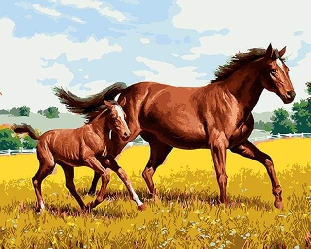 Dipingere con i numeri - Cavallo E Puledro Nel Campo