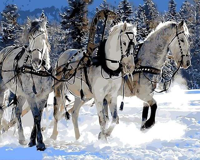 Dipingere con i numeri - Ballata Di Cavalli Nella Neve
