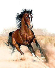 Carica l&#39;immagine nel visualizzatore di Gallery, Dipingere con i numeri - Cavallo In Pieno Galoppo