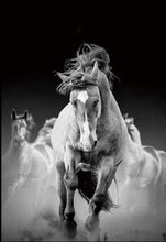 Carica l&#39;immagine nel visualizzatore di Gallery, Dipingere con i numeri - Corsa Di Cavalli