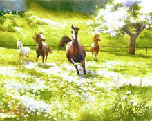 Carica l&#39;immagine nel visualizzatore di Gallery, Dipingere con i numeri - Cavalli In Campagna