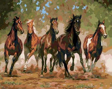 Carica l&#39;immagine nel visualizzatore di Gallery, Dipingere con i numeri - Cavalli Nel Ranch