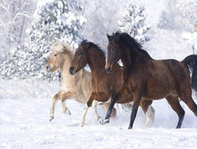 Carica l&#39;immagine nel visualizzatore di Gallery, Dipingere con i numeri - Cavalli Nella Neve D&#39;Inverno