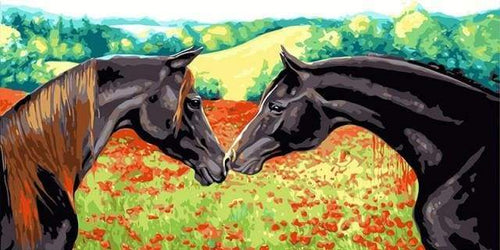 Dipingere con i numeri - Due Cavalli
