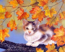 Carica l&#39;immagine nel visualizzatore di Gallery, Dipingere con i numeri - Gattino Su Un Ramo