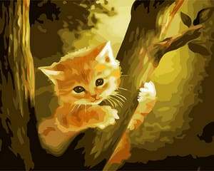 Dipingere con i numeri - Gattino In Cima All'Albero