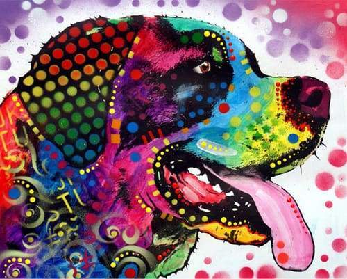 Dipingere con i numeri - Labrador Pop Art